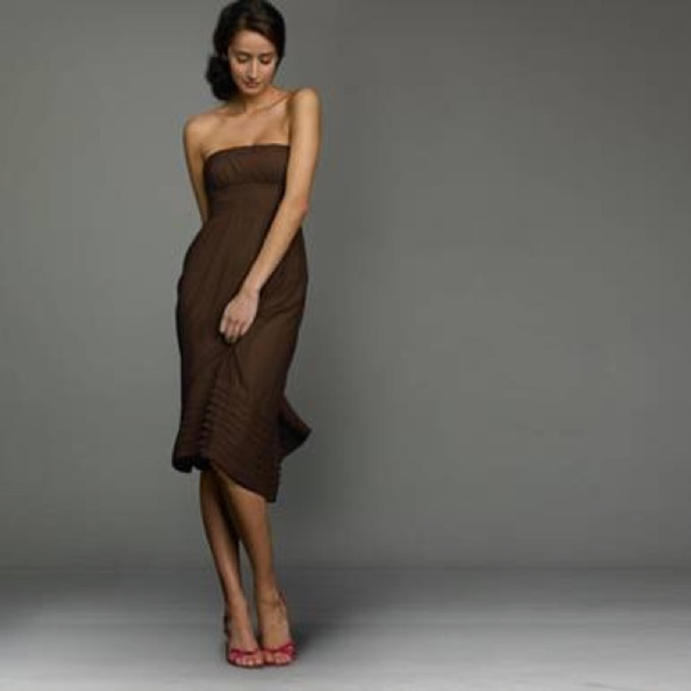 J. CREW "Juliet" Silk Chiffon Dress